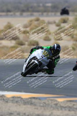 media/May-14-2023-SoCal Trackdays (Sun) [[024eb53b40]]/Turn 5 Tree of Life (1125am)/